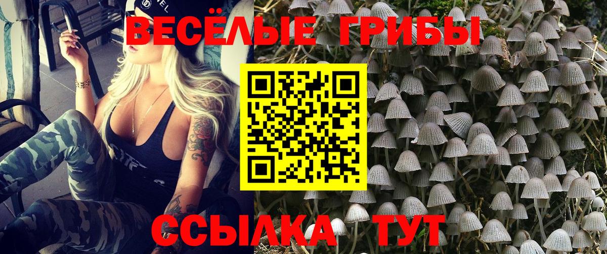 Галлюциногенные грибы Cubensis  Вход с VPN  Углич 
